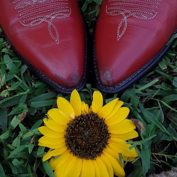 🌟SOLD🌟 - Picture 5 of 8